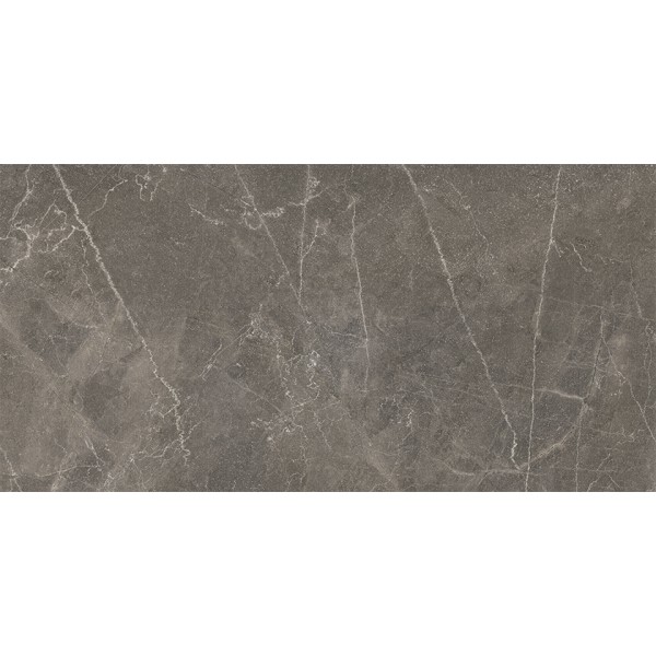 Πλακάκι Bayona Grey Pulido 60x120 cm
