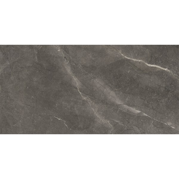 Πλακάκι Bayona Grey Pulido 60x120 cm